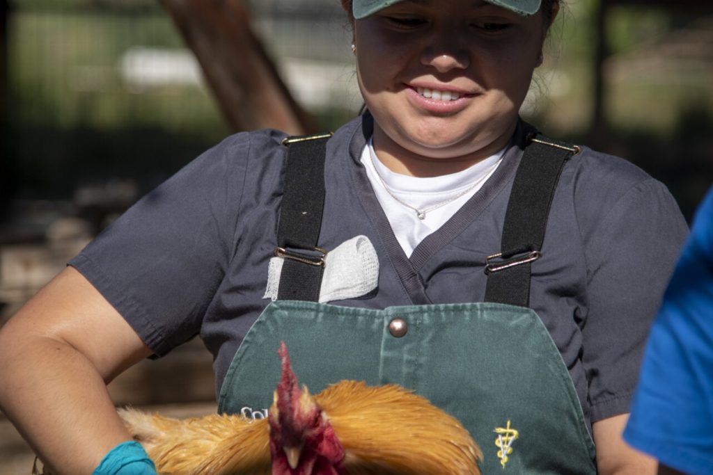 Poultry disease, wildfire, drought: CSU Extension interns get on-the-ground training