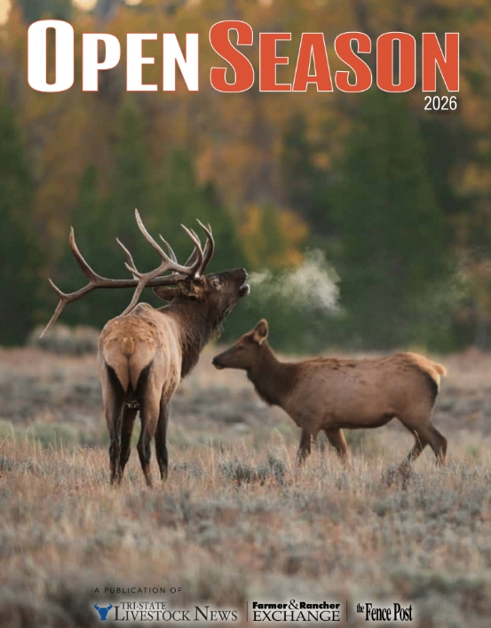 Professional hunter checking digital tags during the Open Season 2026 cycle