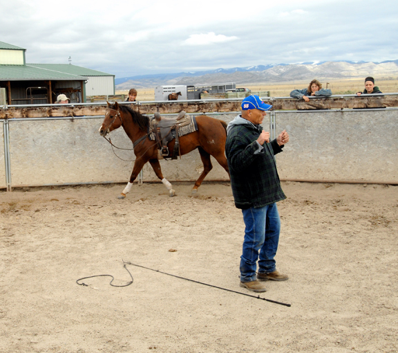 Donald Messling cow work clinic gives riders a winning edge | TSLN.com