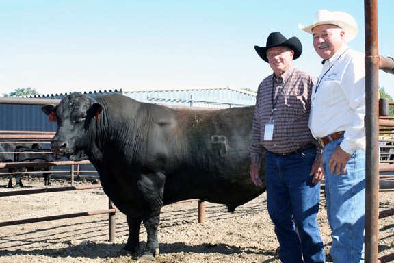 2011 Montana Angus Tour highlights | TSLN.com