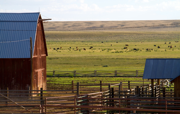 Conservation Ranching Wyoming family secures 113-year-old ranching tradition with ...