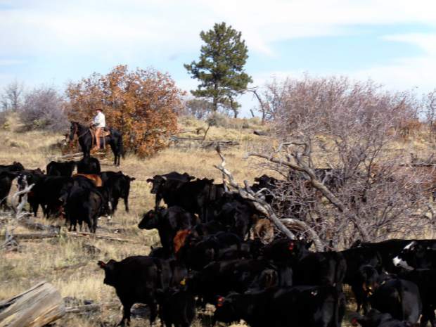Arizona ranchers, officials say “no” to monument designation | TSLN.com