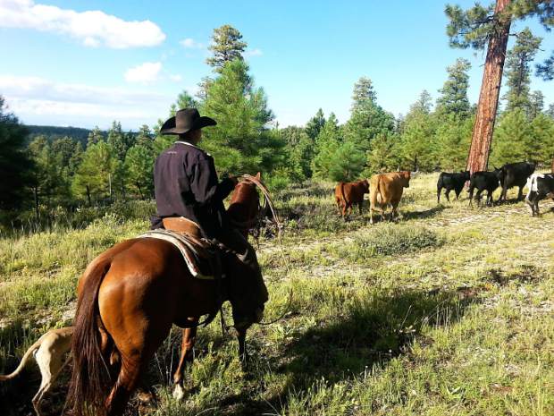 Arizona ranchers, officials say “no” to monument designation | TSLN.com