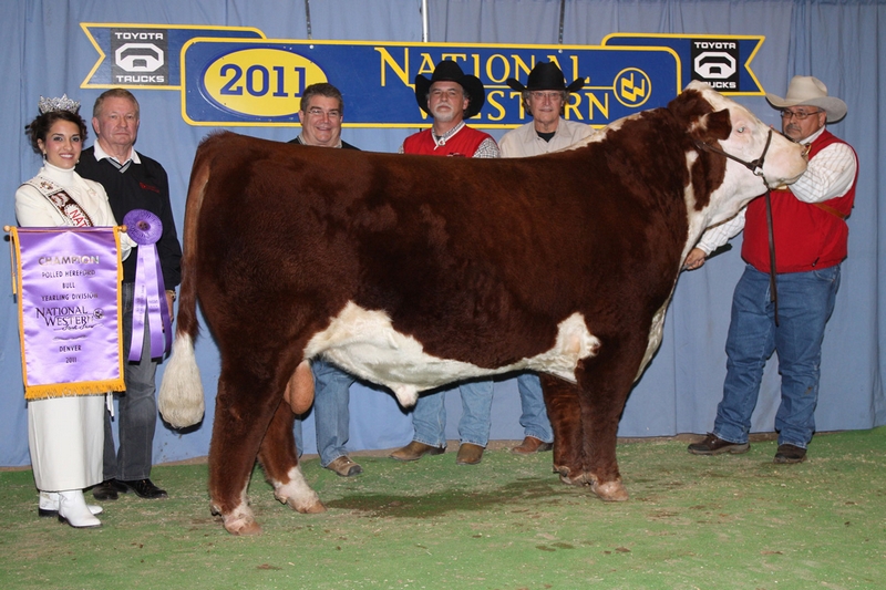 2011 NWSS Hereford show results