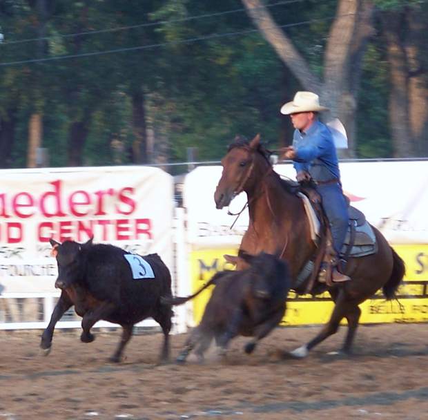 Bismarck Ranch wins 2012 Black Hills Roundup Ranch Rodeo | TSLN.com
