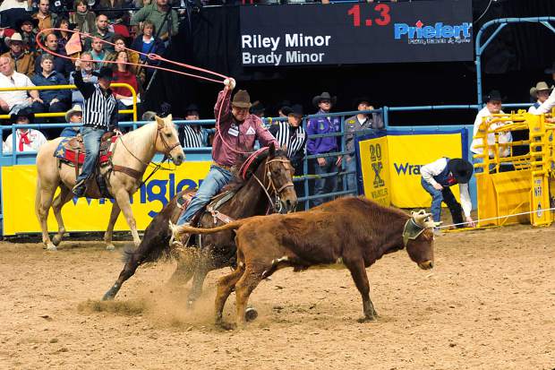 AQHA Horses of the Year announced | TSLN.com