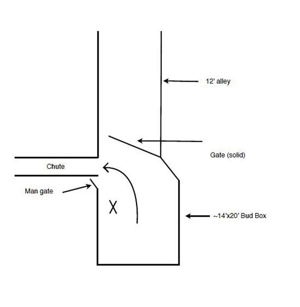 Livestock Handling Part 3 Lowstress livestock handling more