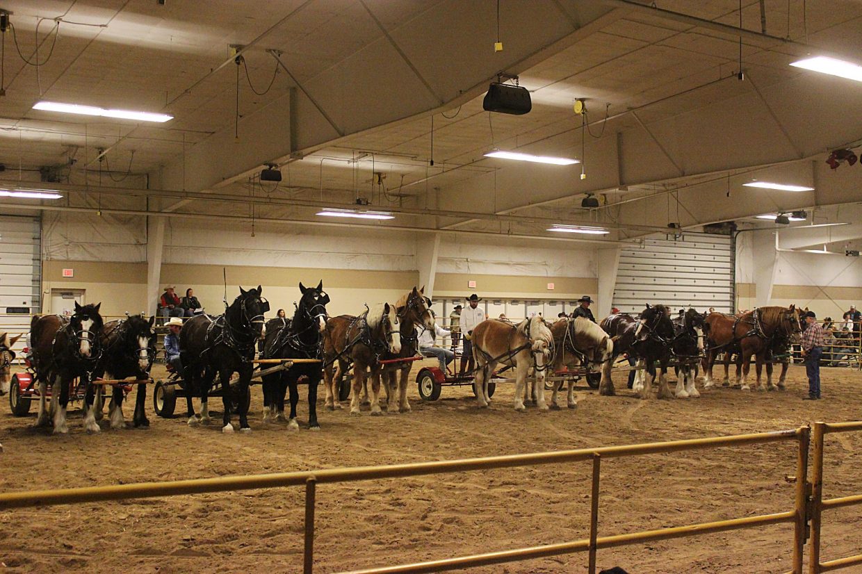 Nebraska Cattlemen’s Classic First Annual Draft Horse Feed Team Race