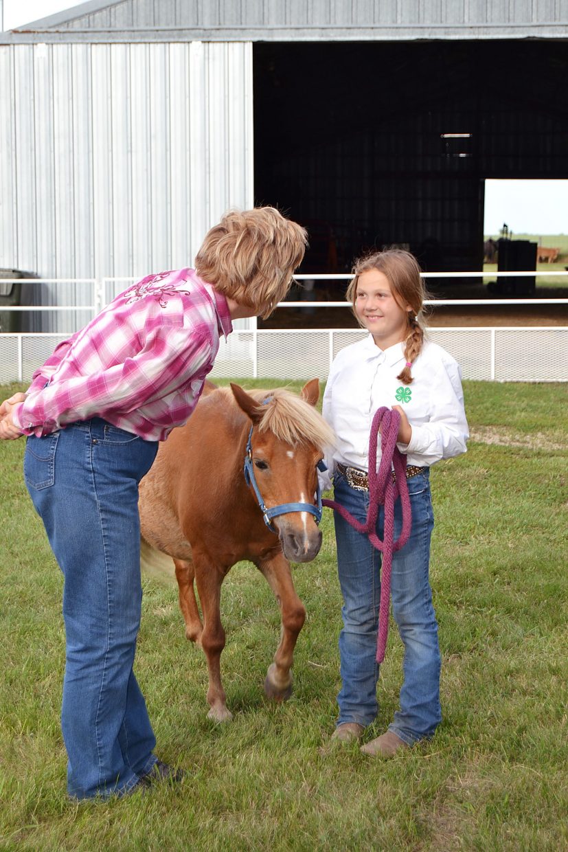 NDSU Extension to Host 4H Horse Judges Certification