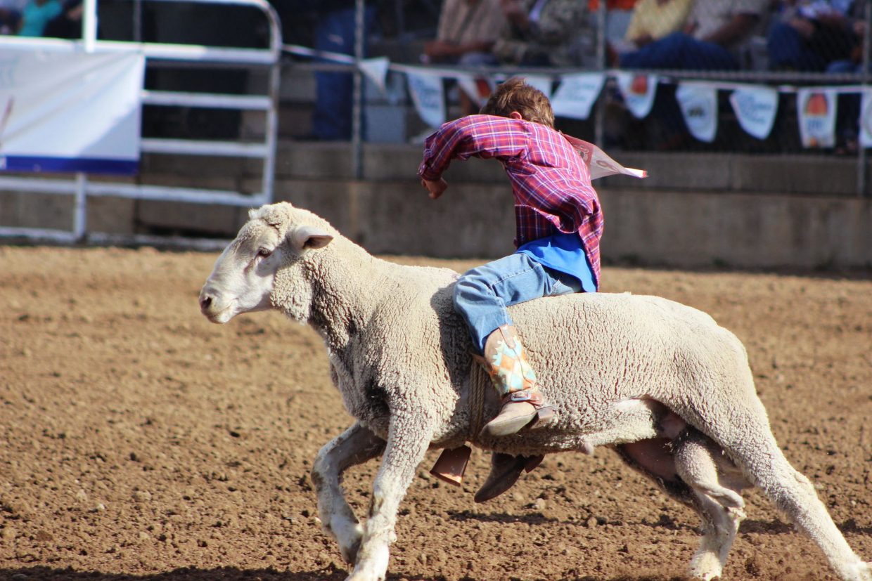 Black Hills Roundup–more rodeos, stock and fireworks | TSLN.com