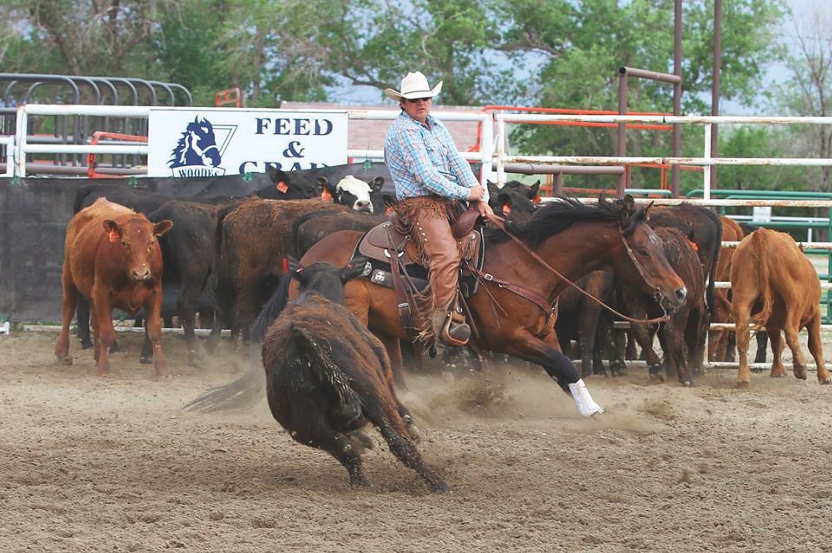 Beefalo Rodeo Buffalo Regional Rodeo | TSLN.com