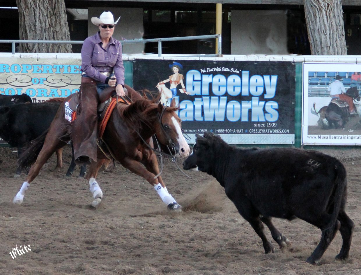 A Sutton Ranch stallion, Rios Santana, wins his class in 2013 with Heather Sutton at the Colo-rado State Fair and goes on to be a two-time qualifier for the AQHA World Show.