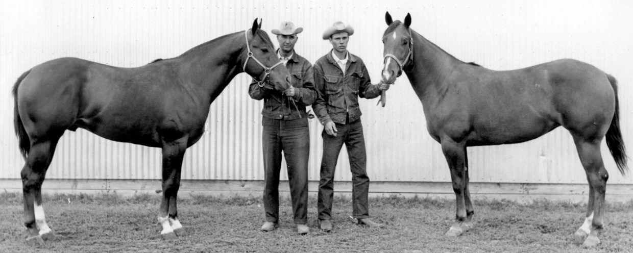 Ray and his father, Raymond, are pictured with AQHA Champion Sokota Babe and SDQHA High Point Mare, Jerri Punk, in 1966. 