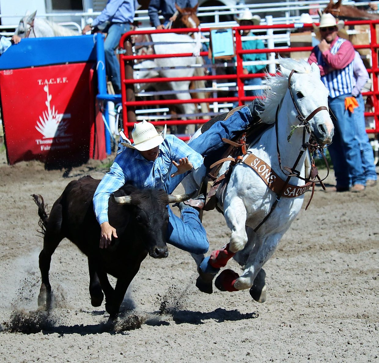 Djibb Rodeo Age won’t keep horse from competing in HS nationals | TSLN.com