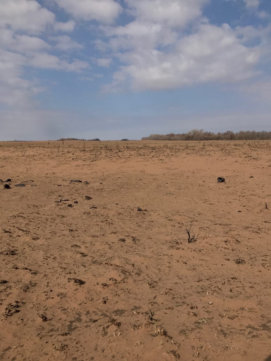 Six months after the smoke cleared Gardiner Angus Ranch, Ashland