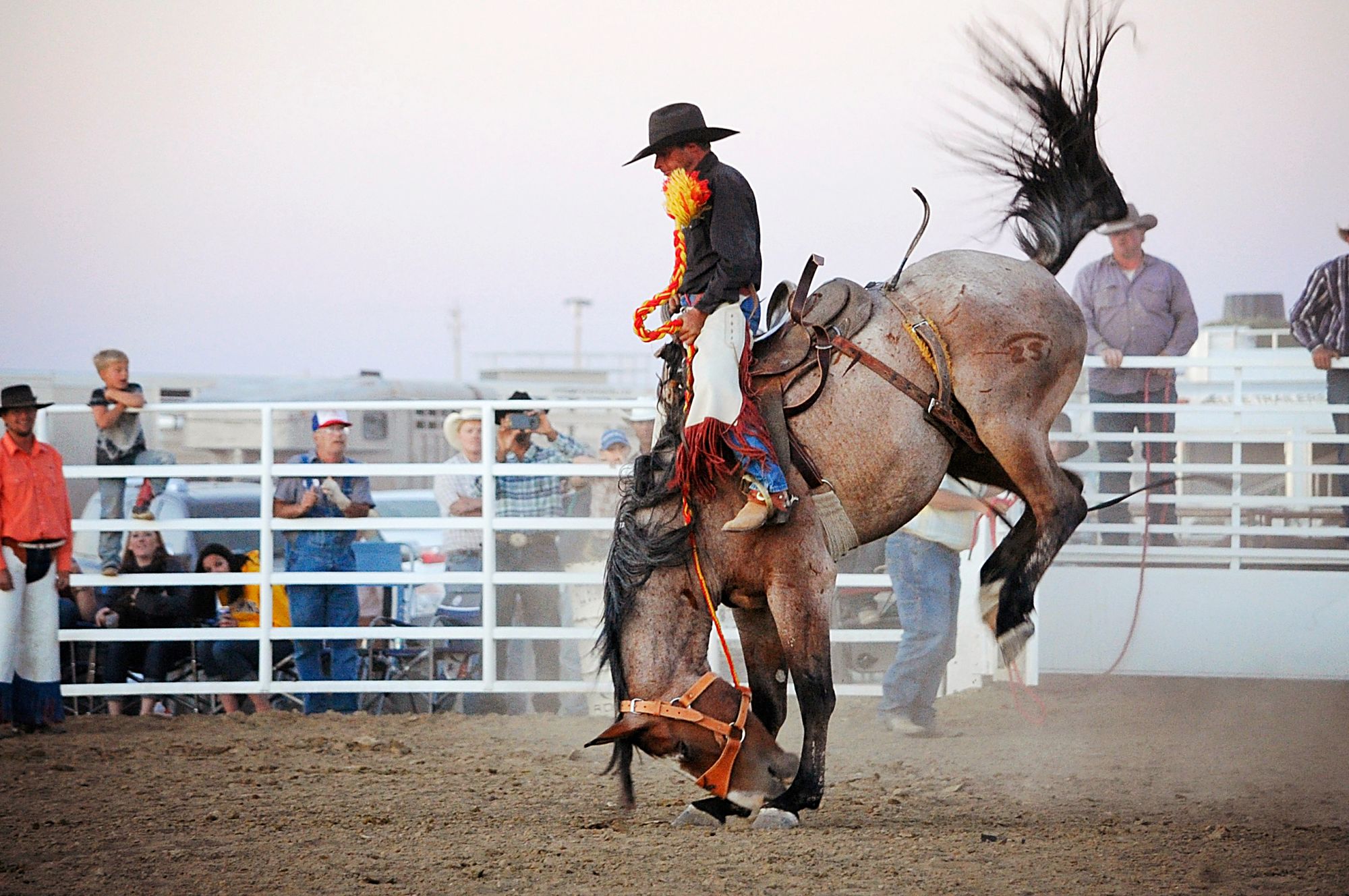 ‘Quint’essential bronc rider | TSLN.com