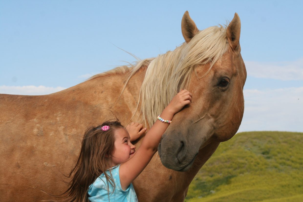 Hunt Horses: Going on six generations of good using horses | TSLN.com