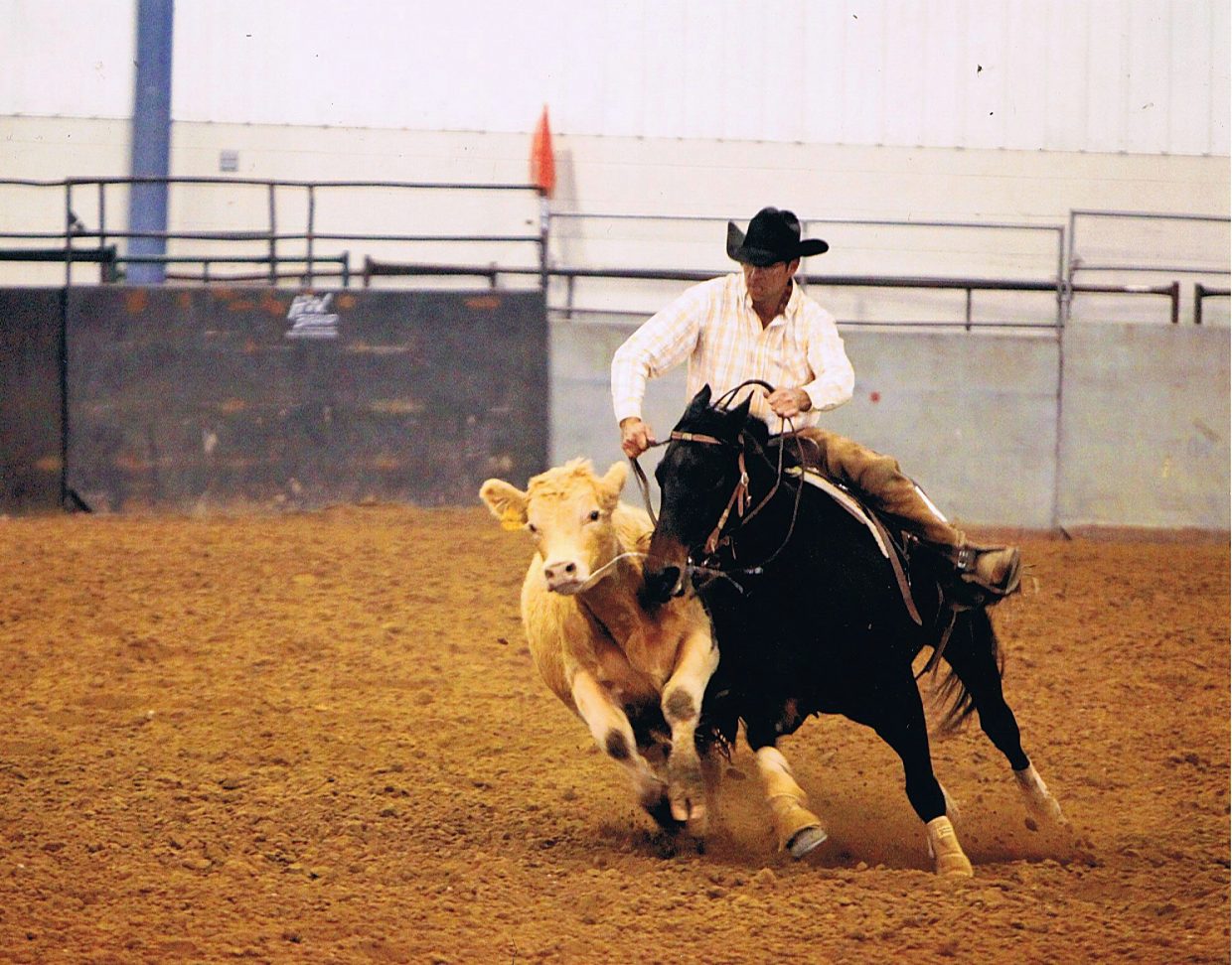 South Dakota's Kenzy Ranch: Fifty year legacy began with one mare