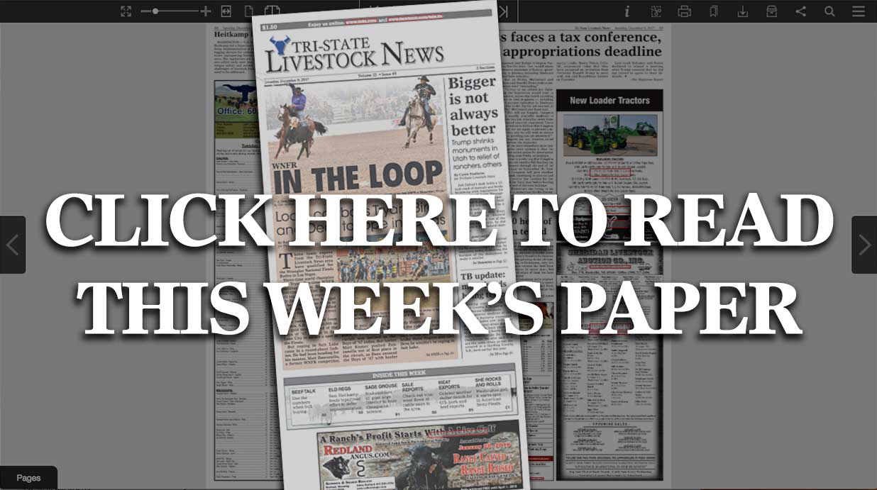 Click here to read this week's TSLN