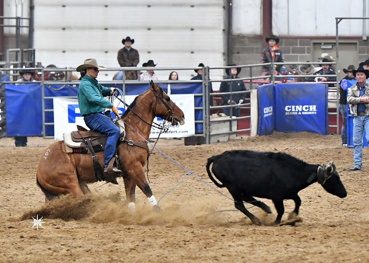 BHSS® Truck Defender Horse Sale