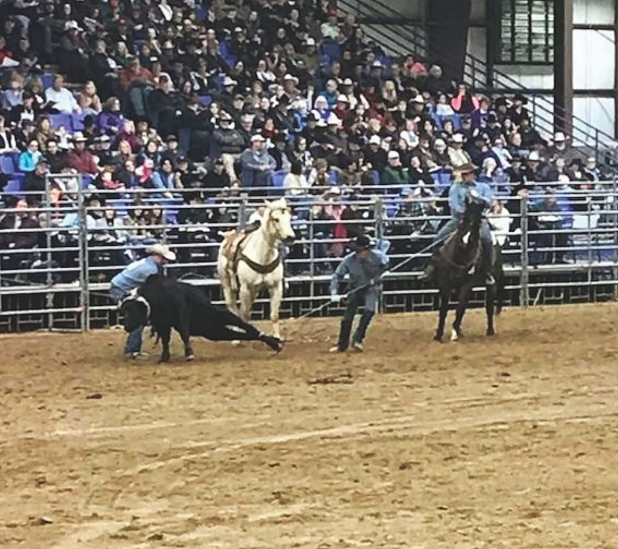 Bashore Rodeo BHSS® Ranch Rodeo results | TSLN.com