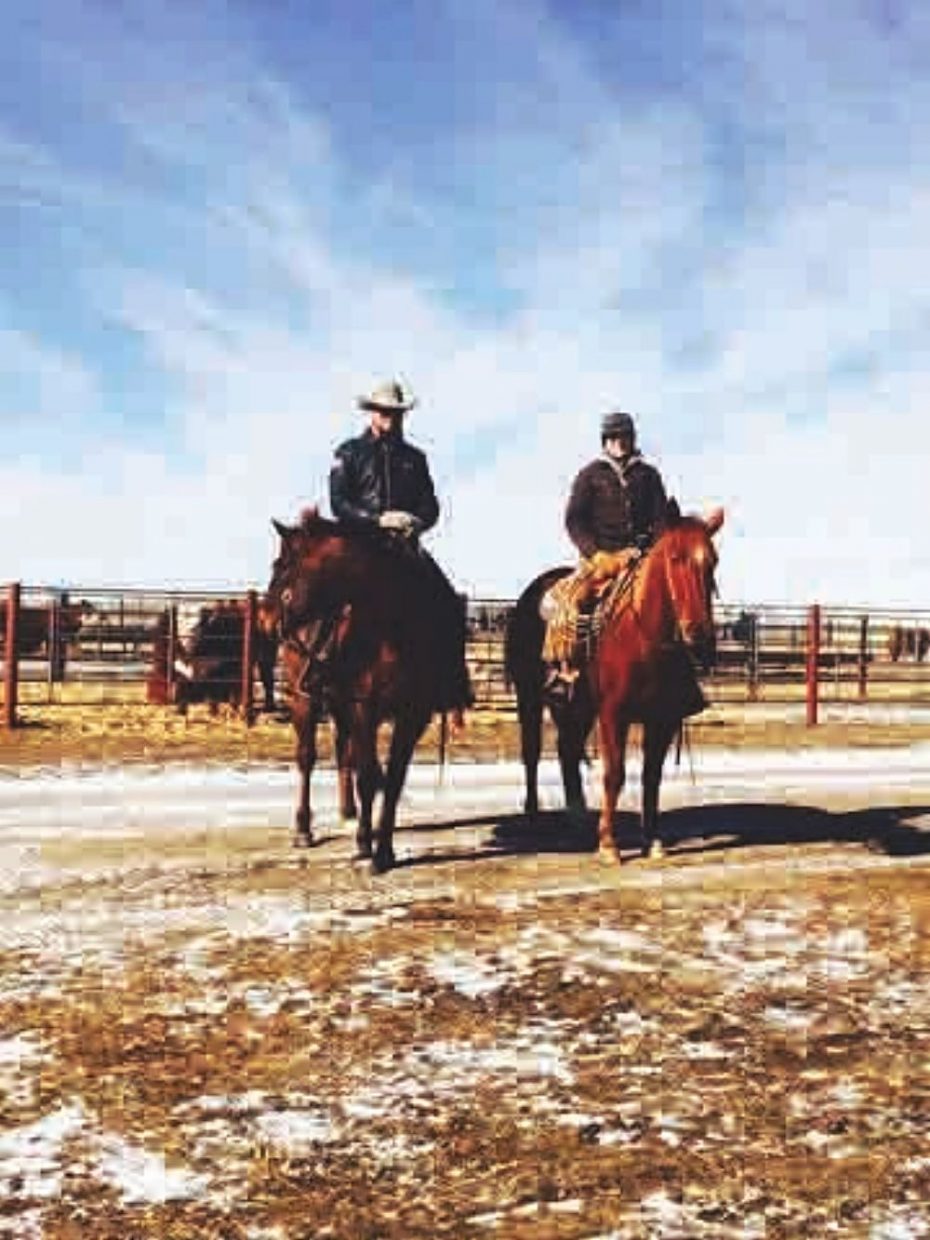 Hoffman Ranch Annual Production Sale