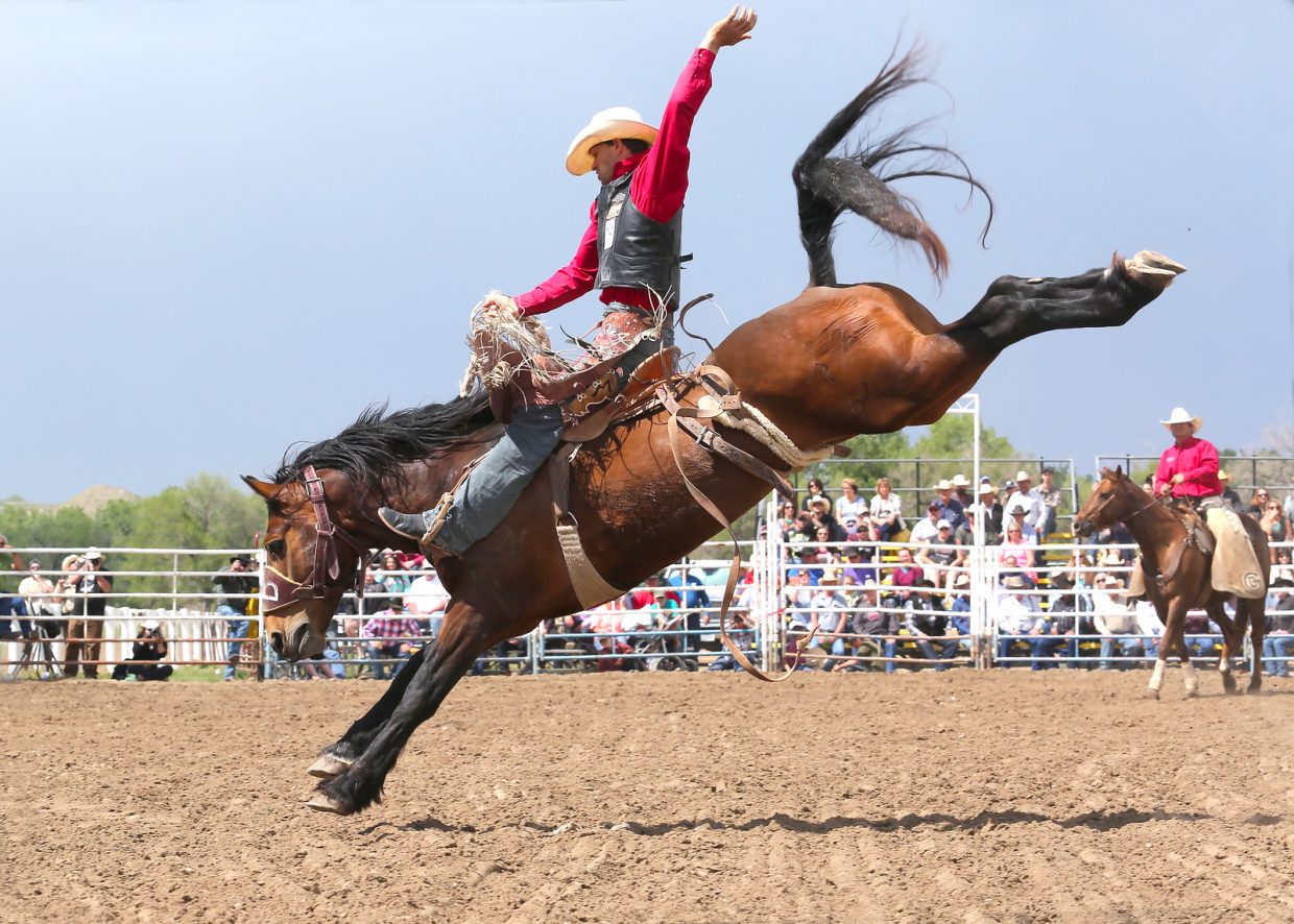 Isaac Diaz on Gunslinger (Bailey Pro Rodeo) at Miles City Bucking Horse Sale