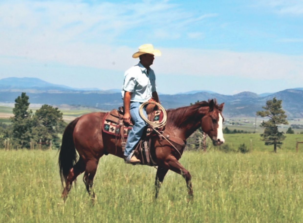 Sperry Quarter Horses Production Sale