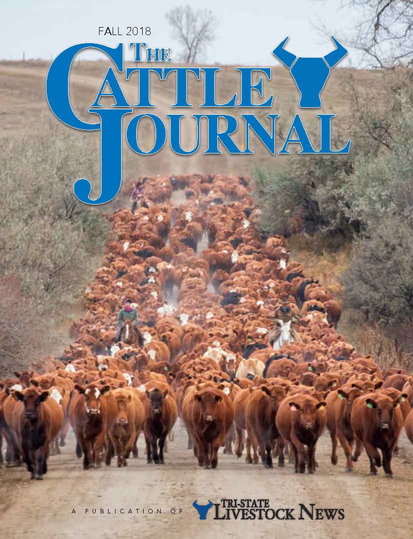 Fall Cattle Journal 2018 | TSLN.com