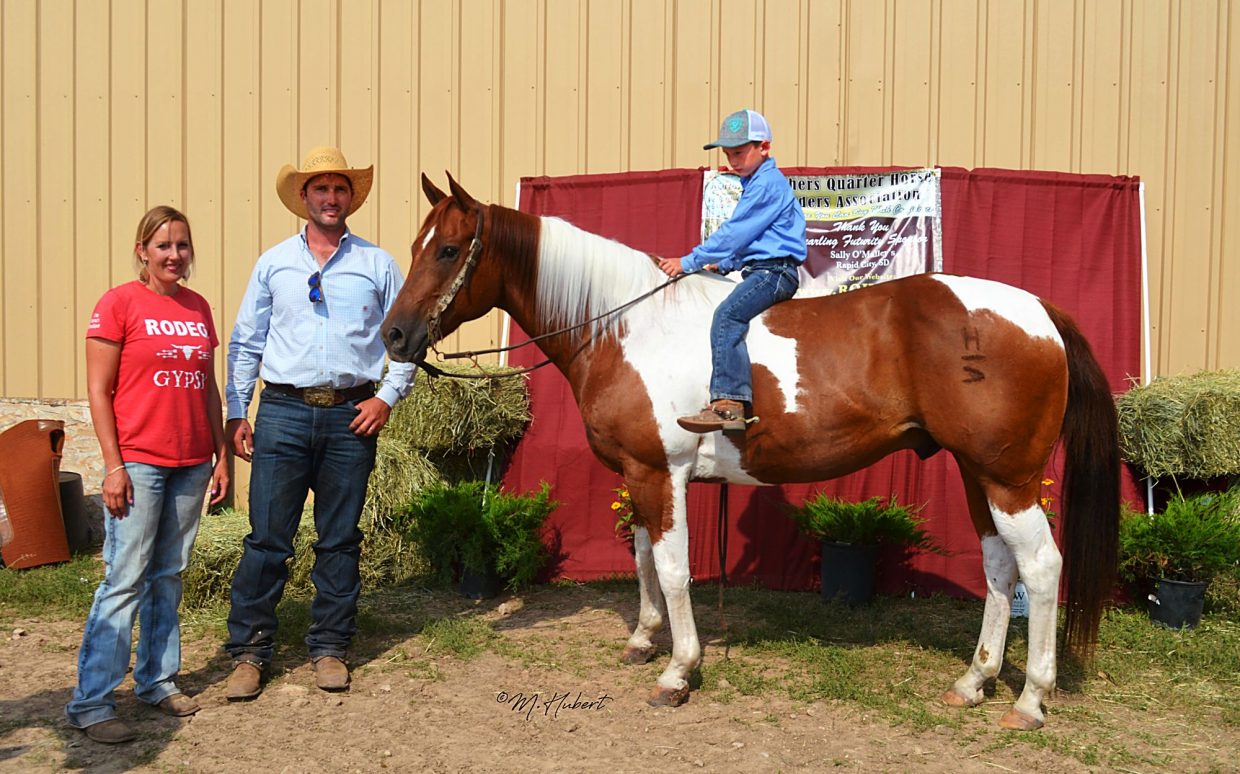 Ranchers Quarter Horse Breeders Assoc. Sale