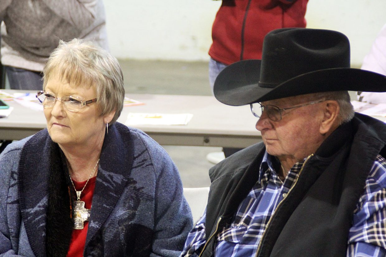 Fall Extravaganza Horse Sale