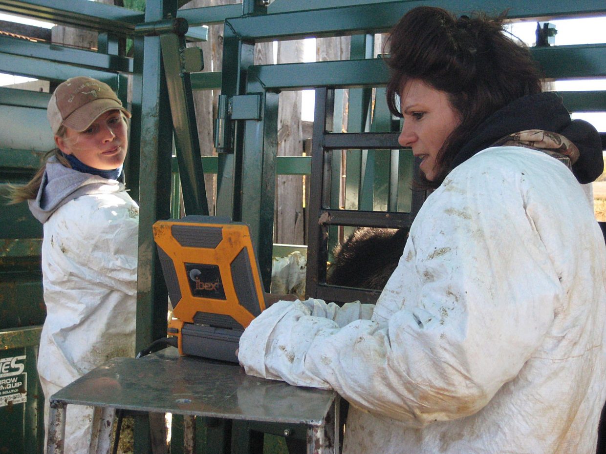 Darian Roghair on her first ultrasound job, Vicky Briggs assisting. Photo by Shawna Roghair