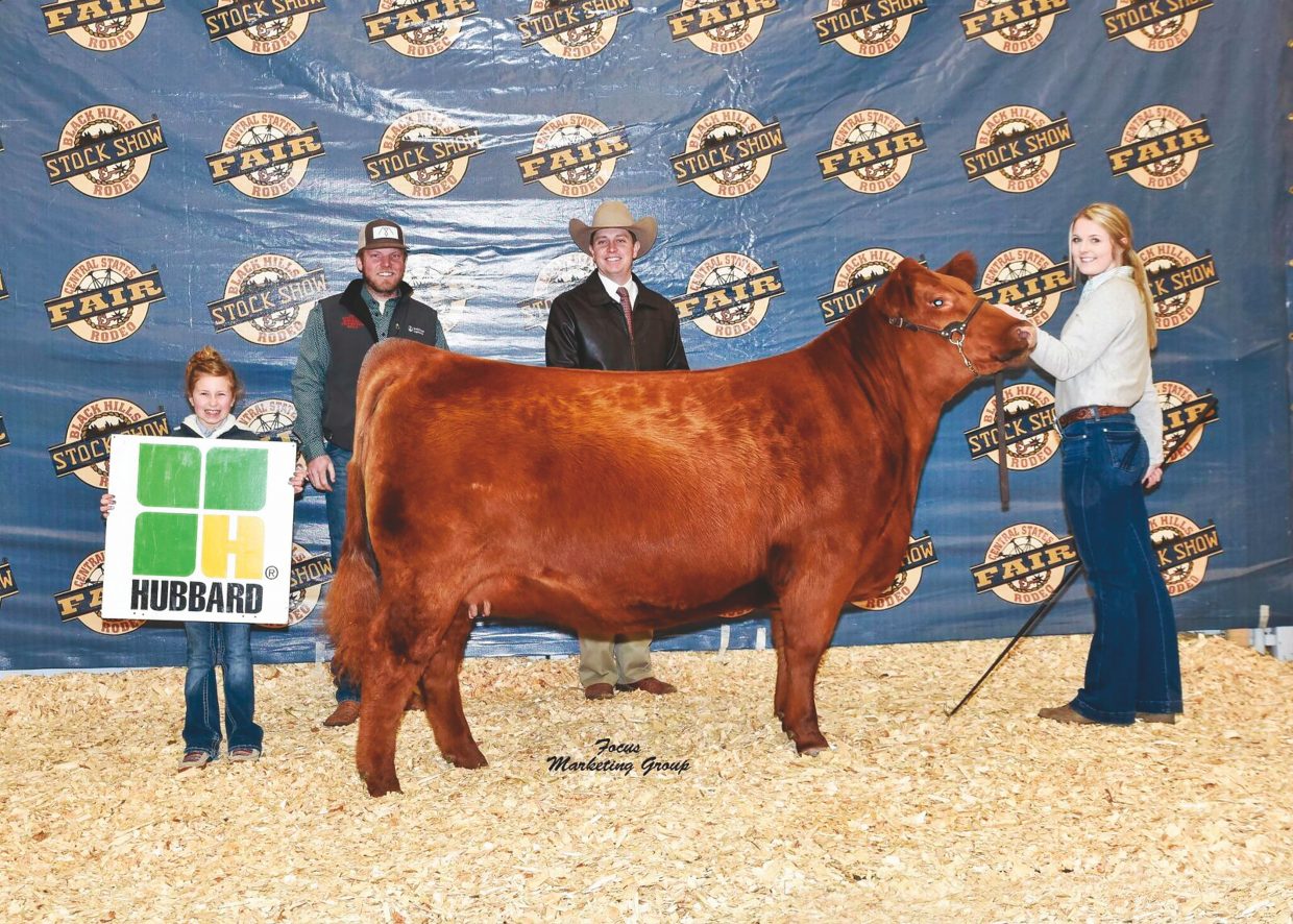 BHSS Red Angus Sale results