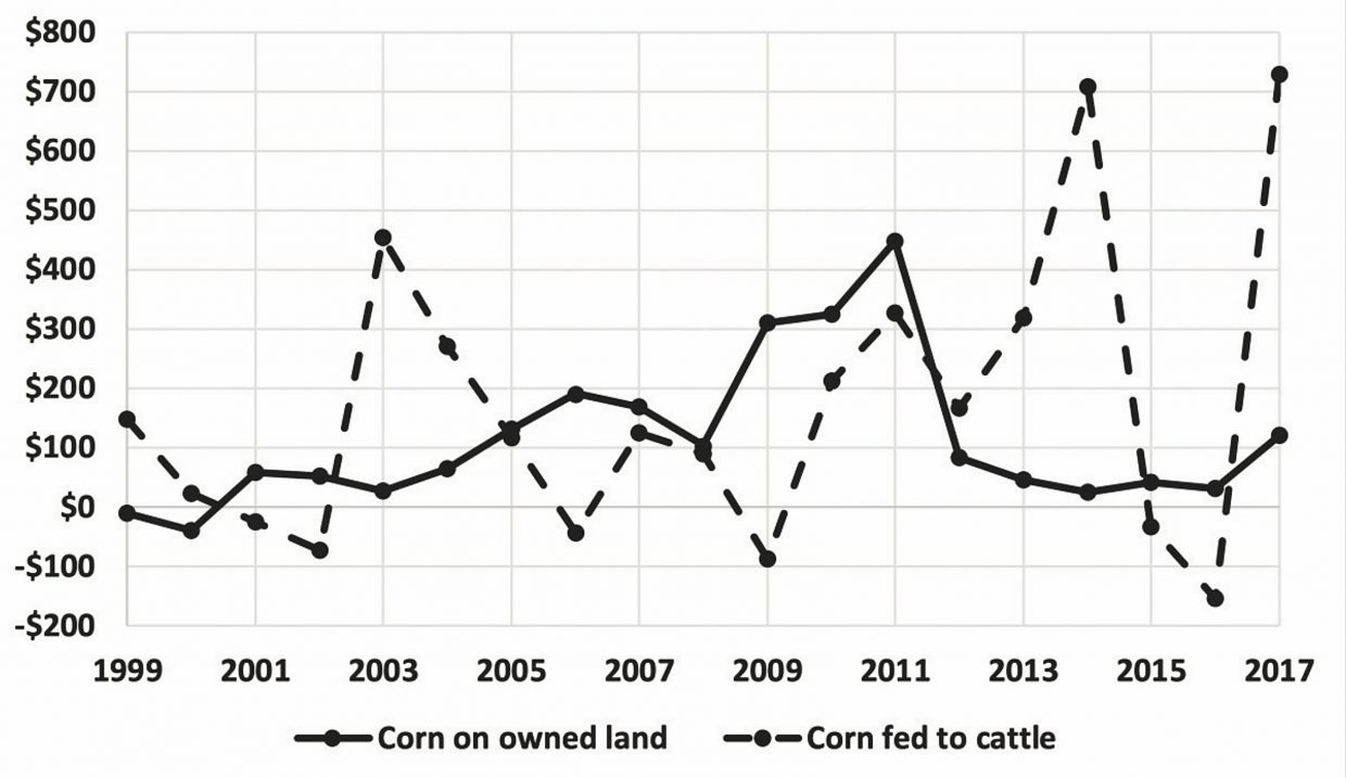 Adding value to corn through cattle | TSLN.com