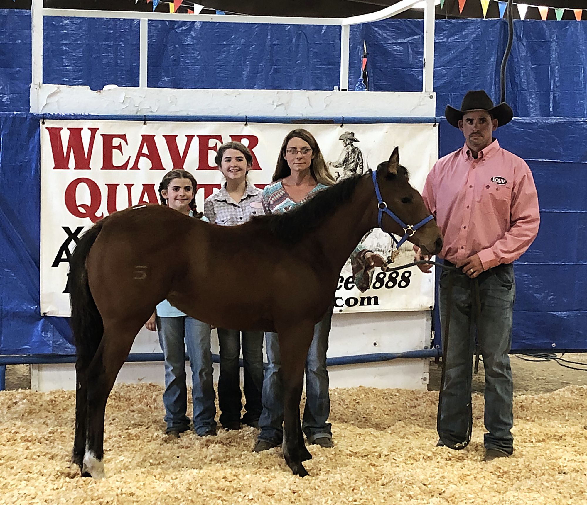 Weaver Quarter Horses 24th Annual Production Sale