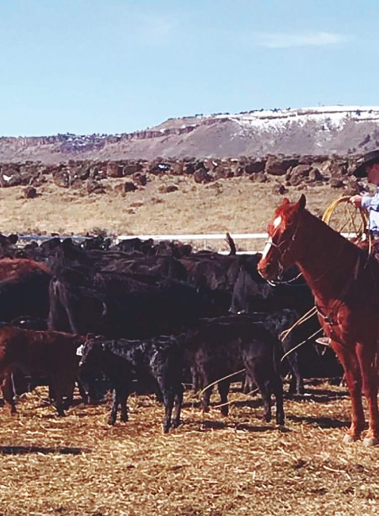 Hammond Ranch Judge to Hammonds: | TSLN.com
