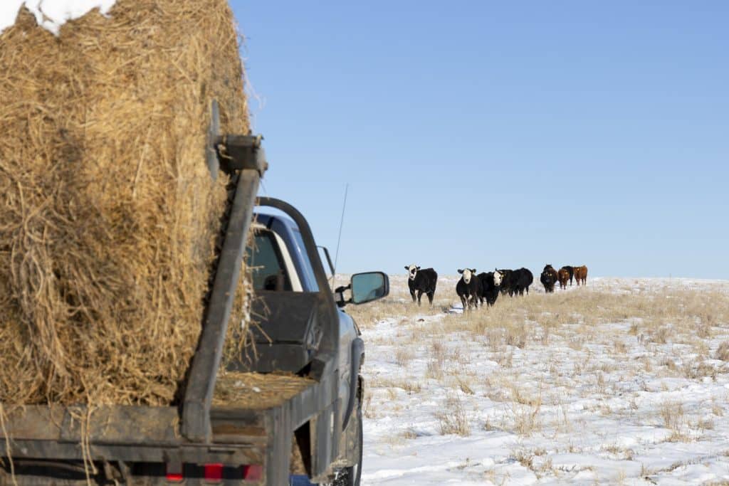 Feeding the machine Meade County, South Dakota, landowners say