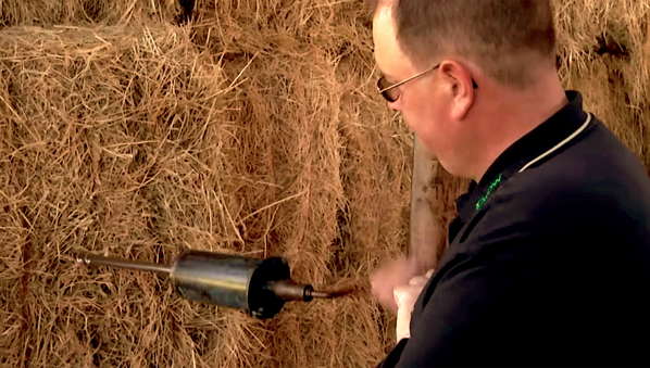 Importance of Forage Analysis: Making Sure Nutrient Requirements are ...