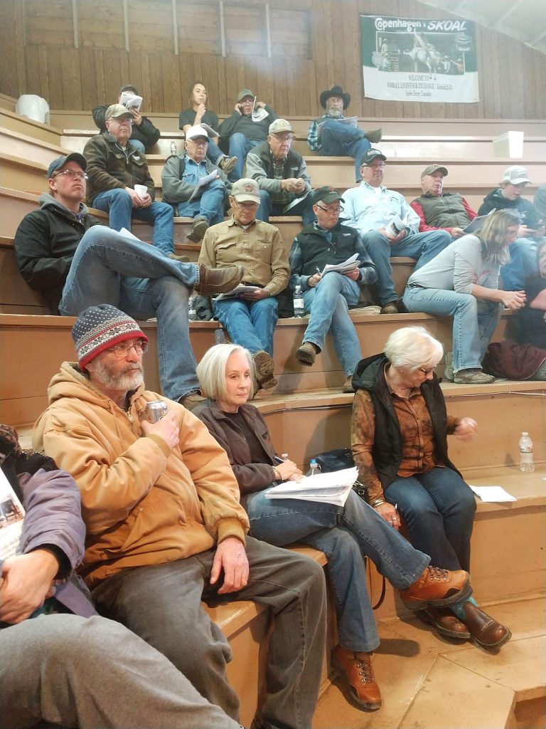 DeJong Ranch 52nd Annual Production Sale | TSLN.com