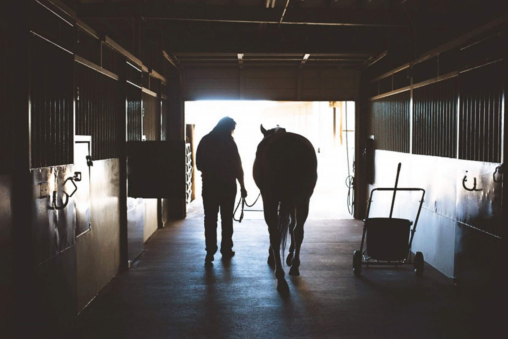 Horses COVID19 Precautions