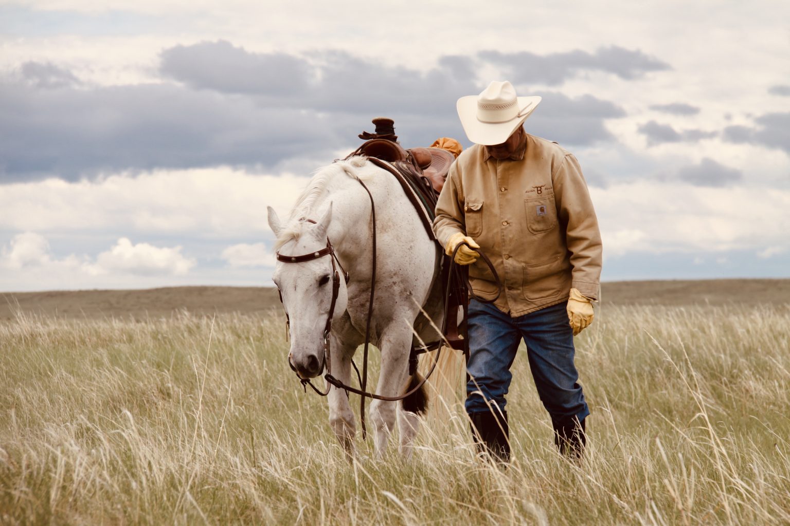 Flying B horses showcase Bartlett’s legacy