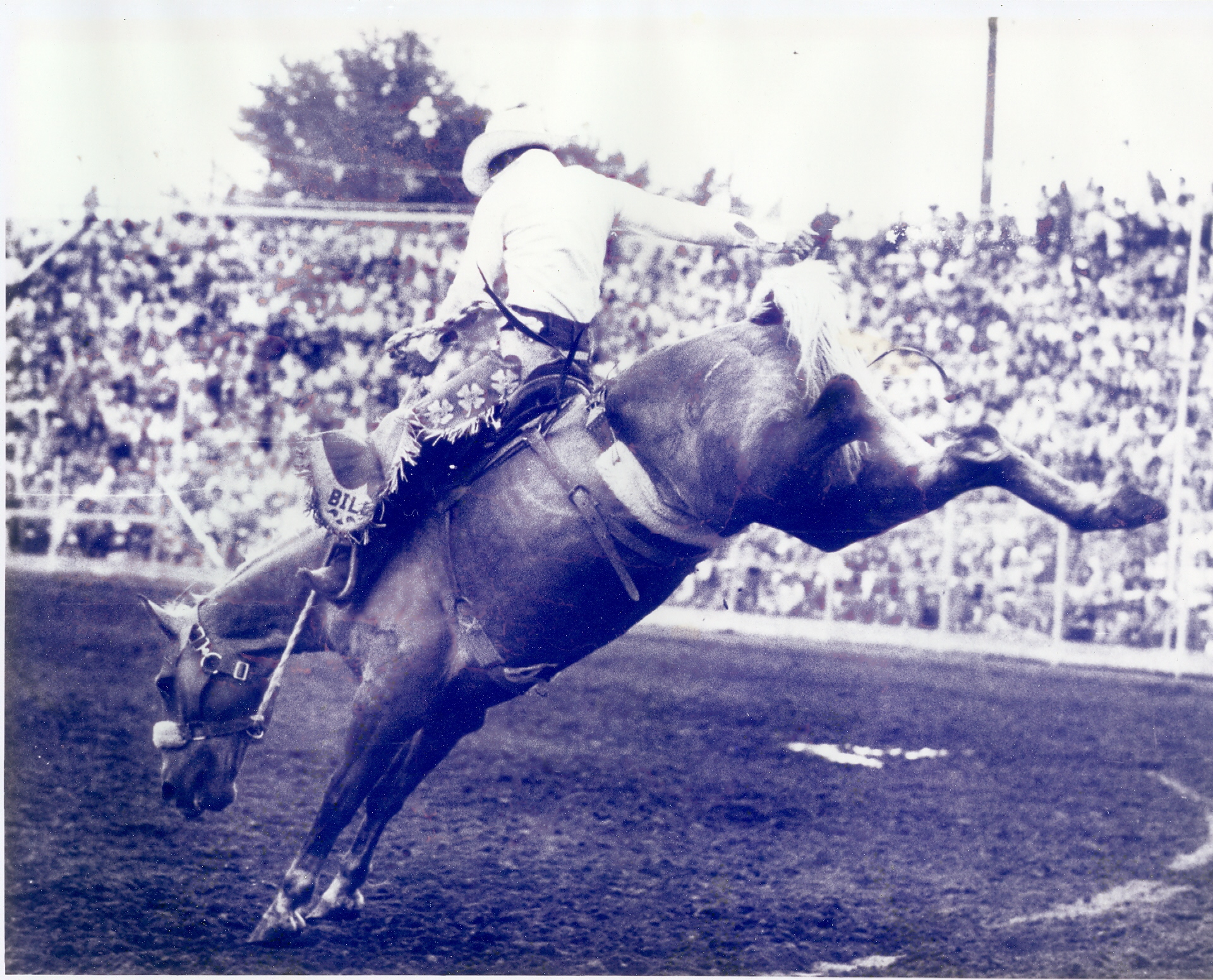 The Ambler Saddle: Where Western music met rodeo history with Ian Tyson ...