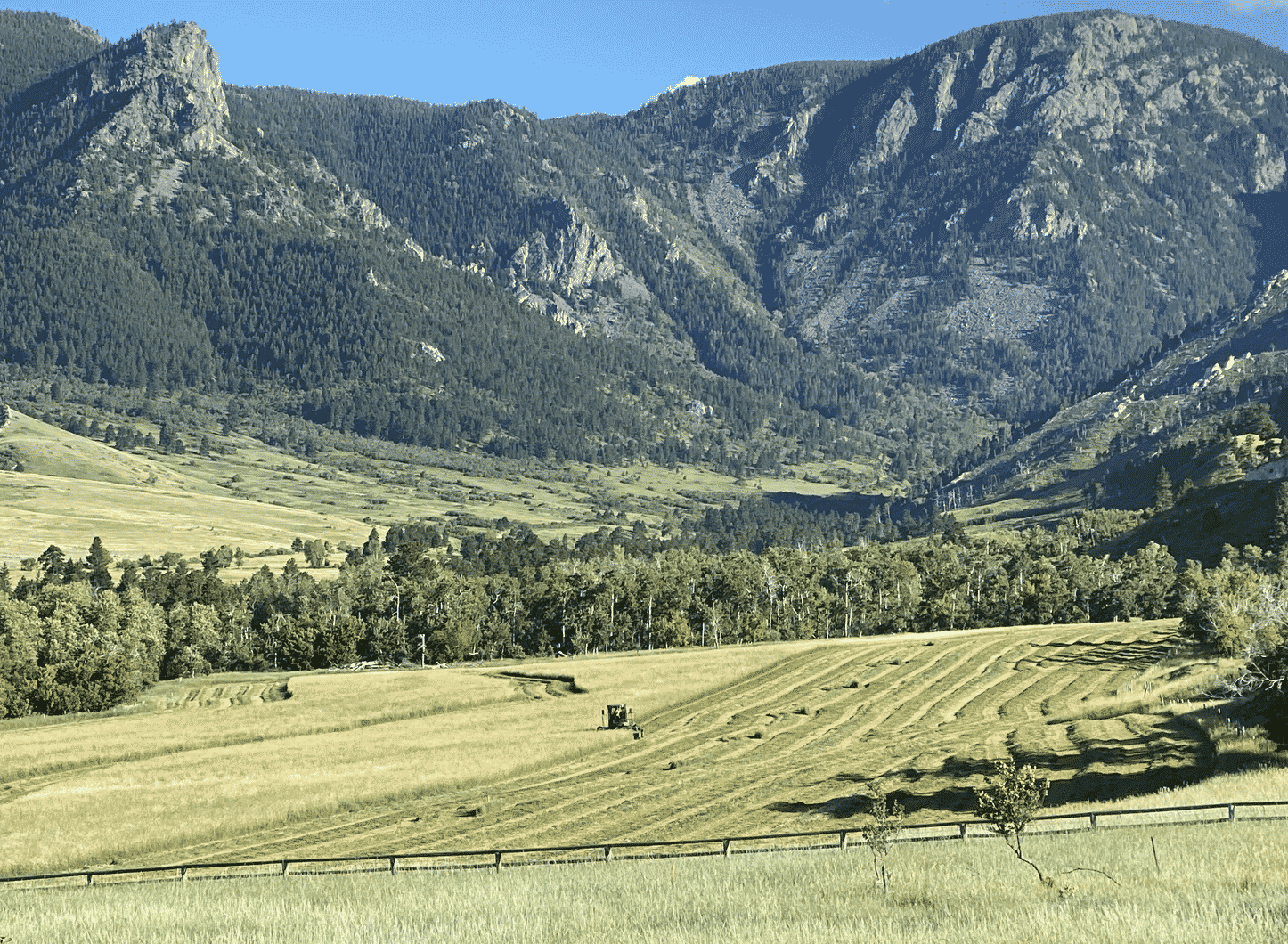 Less is More: Increasing quality, decreasing numbers makes for ...