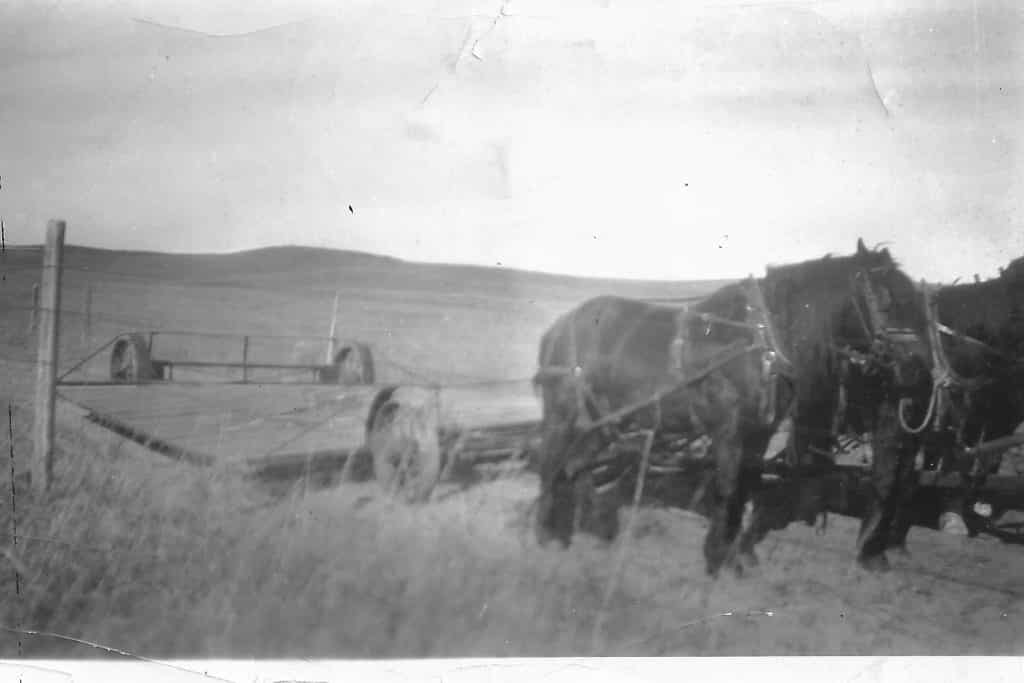 Forage 2022 A Brief History of Haying