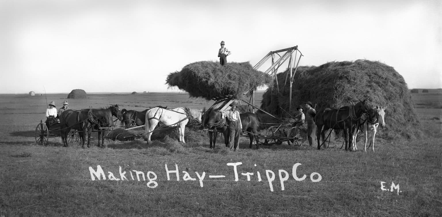 Forage 2022 A Brief History of Haying