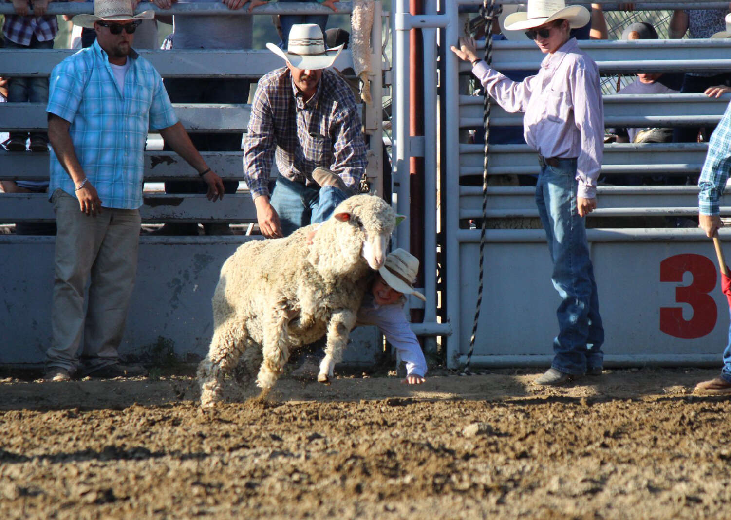 Weston County Mini Roughstock Rodeo | TSLN.com