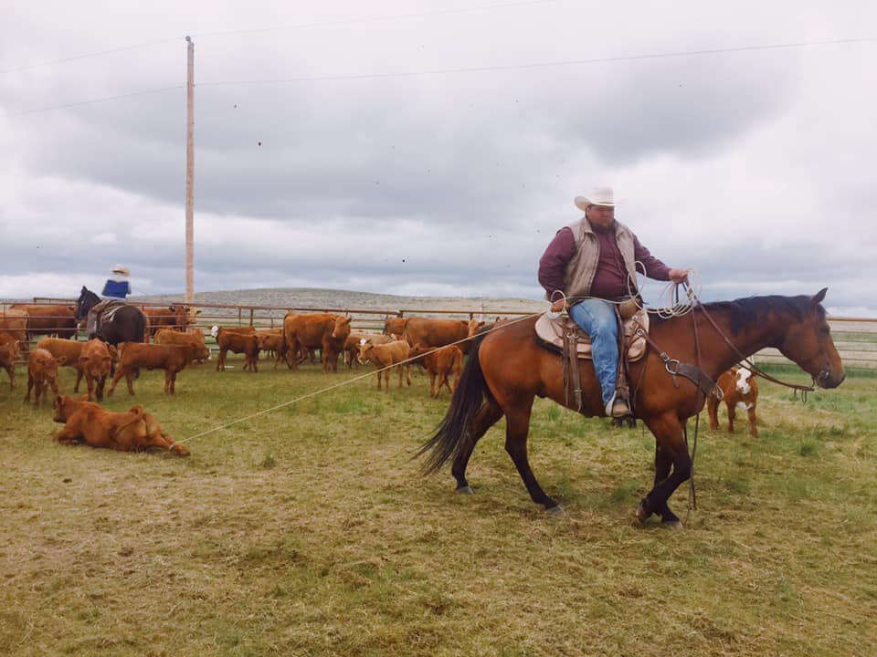 Snooks, Deveraux buy Buffalo Livestock Auction