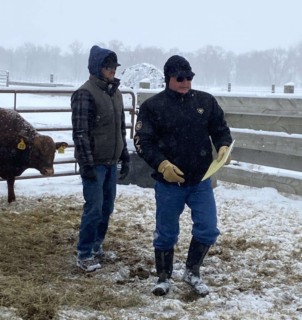 Beckton Red Angus ‘Foundation Herd of the Red Angus Breed’ 77th ...