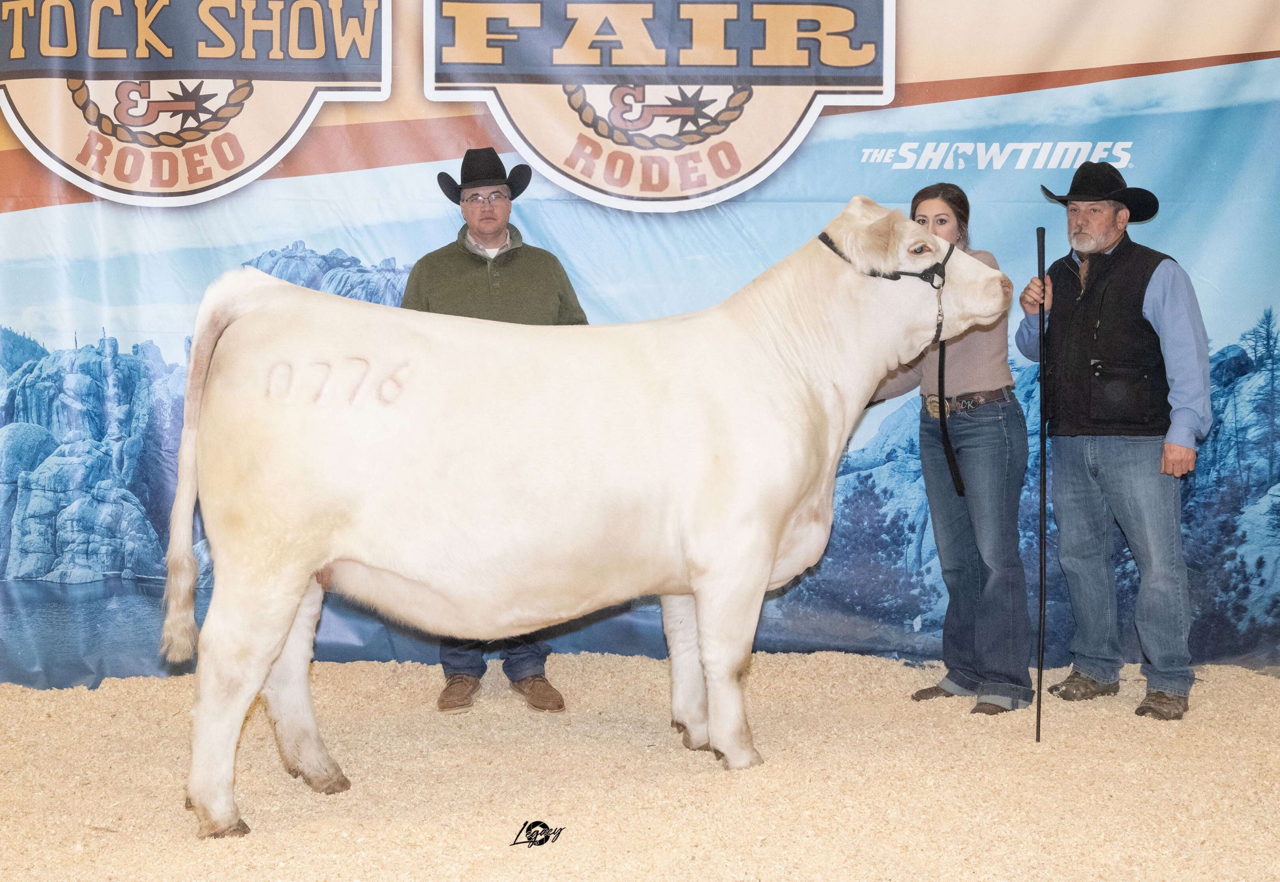 BHSS Charolais Sale Results