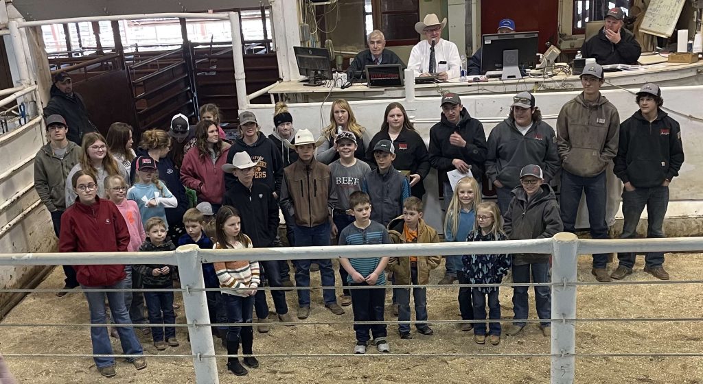 Ruggles Angus Bull Sale